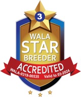 WALA Accredited 2023 kopiera