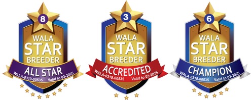 alla wala symboler 2026