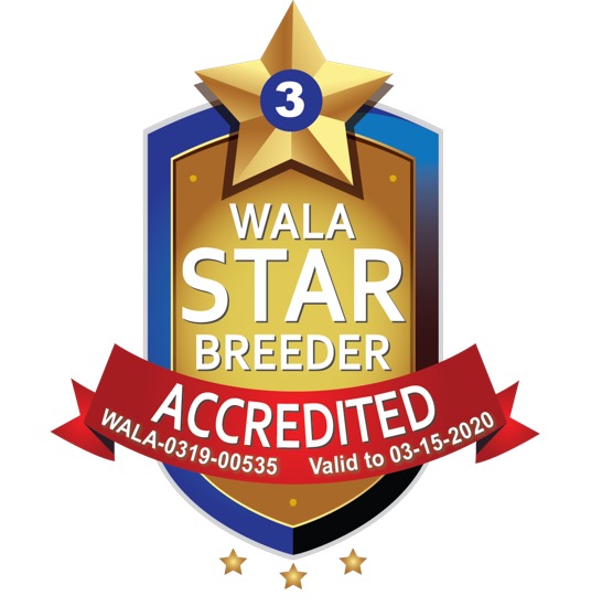 WALA logo 2
